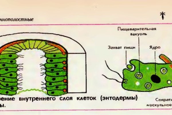 Кракен сайт kr2web