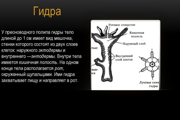 Ссылка на кракен 15ат