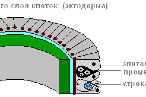 Можно ли вывести деньги с кракена