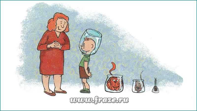 Ссылка на кракен 14ат