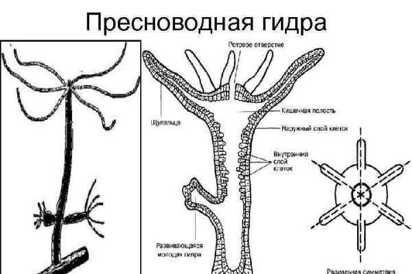 BlackSprut не работает